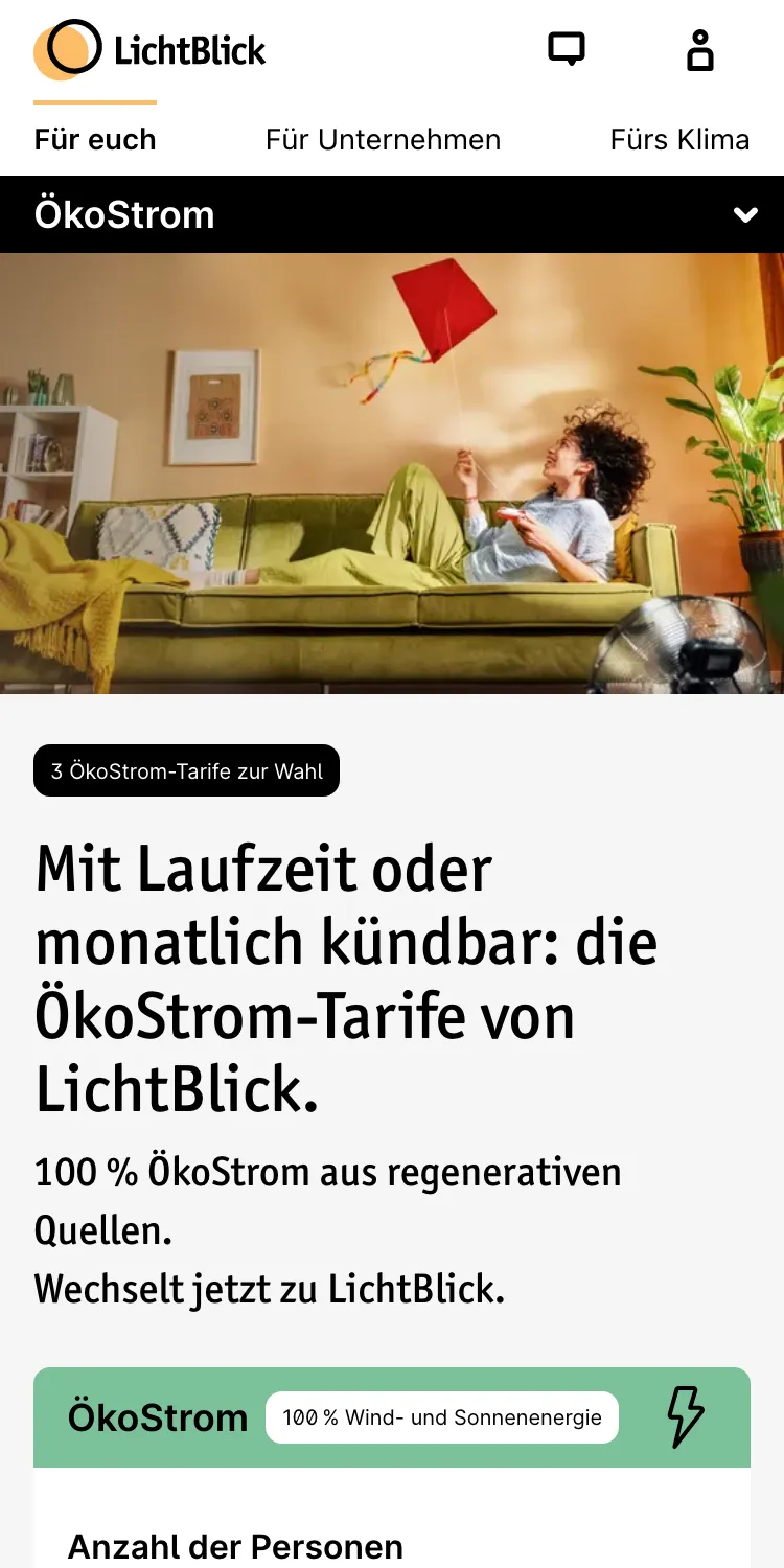 Screenshot von LichtBlick.de